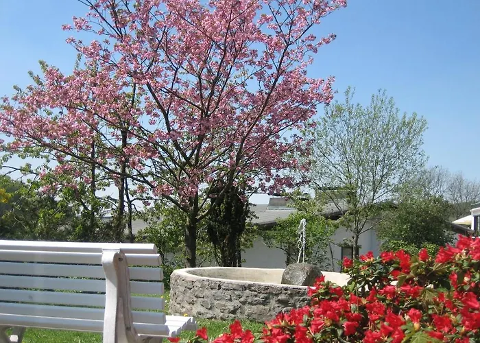 Otto 施马伦贝格